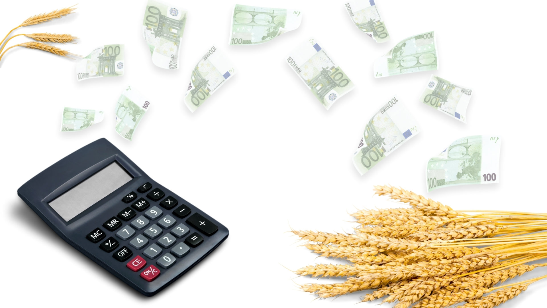 Blauer Taschenrechner, Getreide und fliegendes Geld auf weißem Hintergrund – Symbol für landwirtschaftliche Wirtschaftlichkeit.