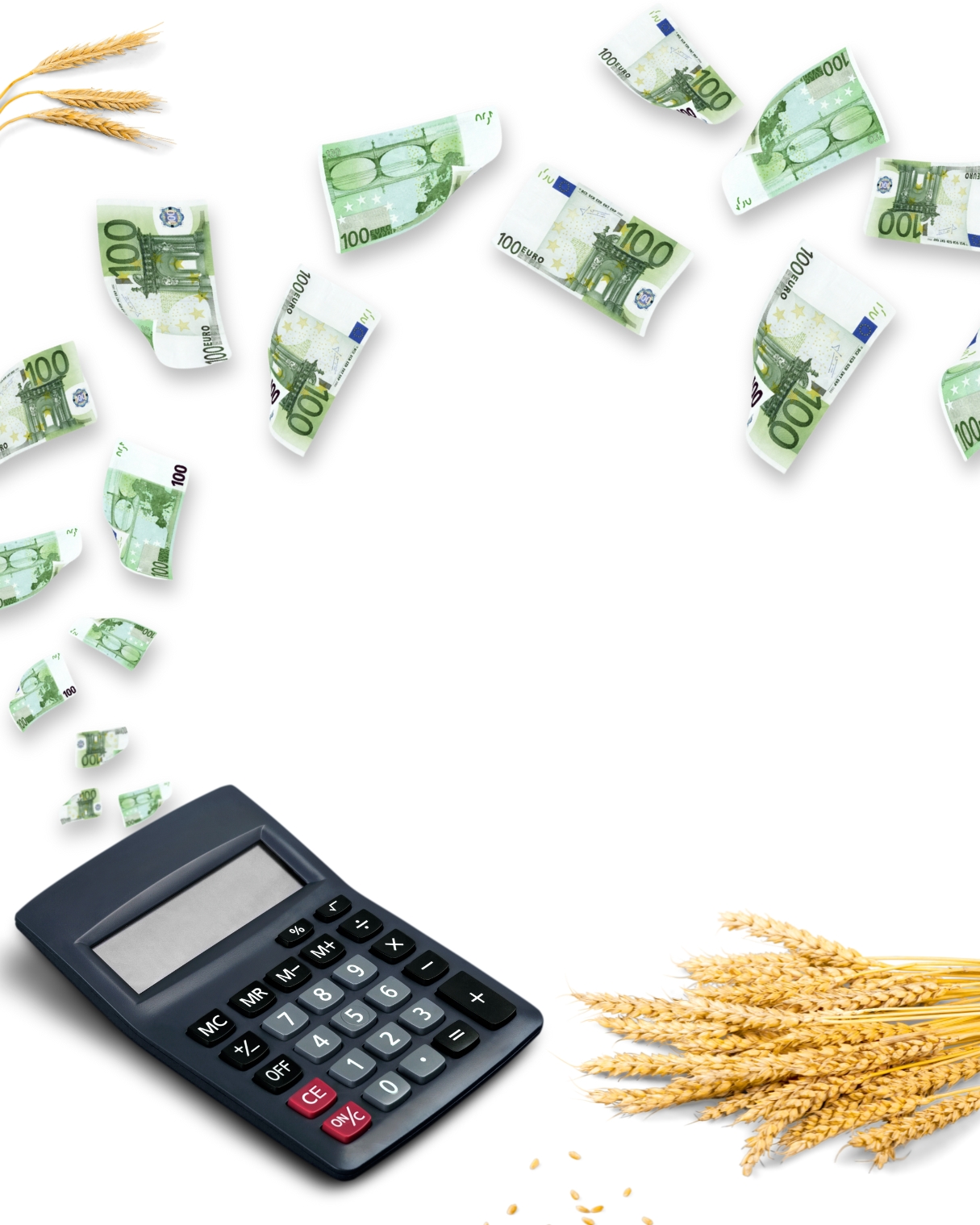 Blauer Taschenrechner, Getreide und fliegendes Geld auf weißem Hintergrund – Symbol für landwirtschaftliche Wirtschaftlichkeit.